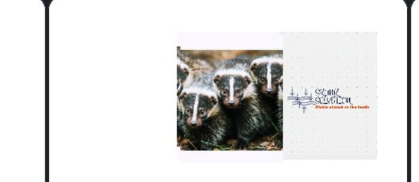 Skunkhaven 